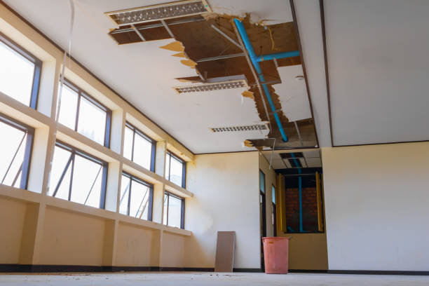 Reliable Yermo, CA Water damage restoration Solutions