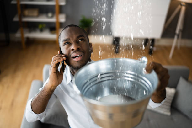 Best Water damage contractors near me  in Yermo, CA