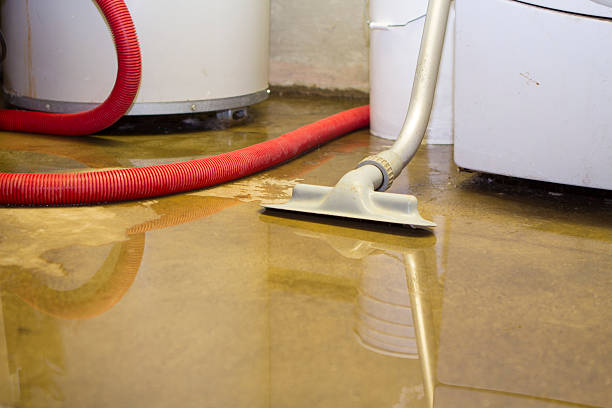 Best Water damage restoration insurance claims  in Yermo, CA