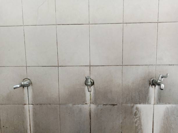 Best Basement water damage restoration  in Yermo, CA