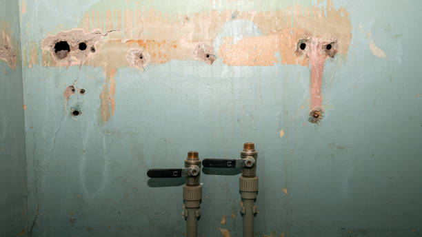 Local water damage restoration in Yermo, CA