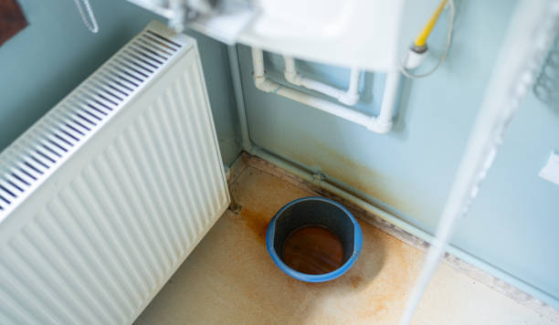 Best Water damage cleanup near me  in Yermo, CA