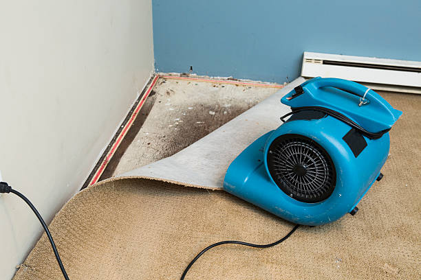 Best Water damage restoration cost  in Yermo, CA